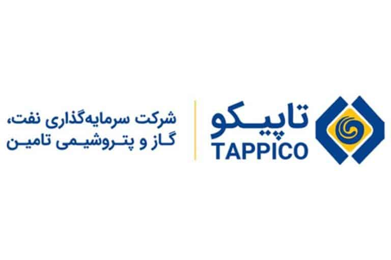 هلدینگ‌ تاپیکو